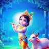 rabibarman828